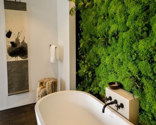 Оформление ванной комнаты растениями Оформление ванной комнаты растениями