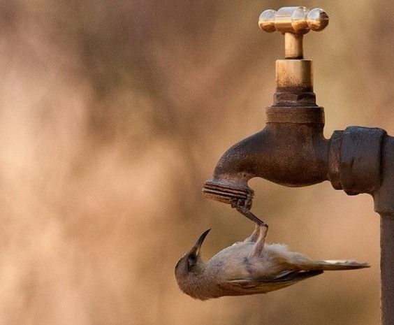 Почему из крана не течёт вода?