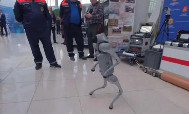 Робособаки в Подмосковье: новые технологии для ЖКХ