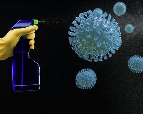 Устойчивость вирусов и методы дезинфекции Устойчивость вирусов и методы дезинфекции