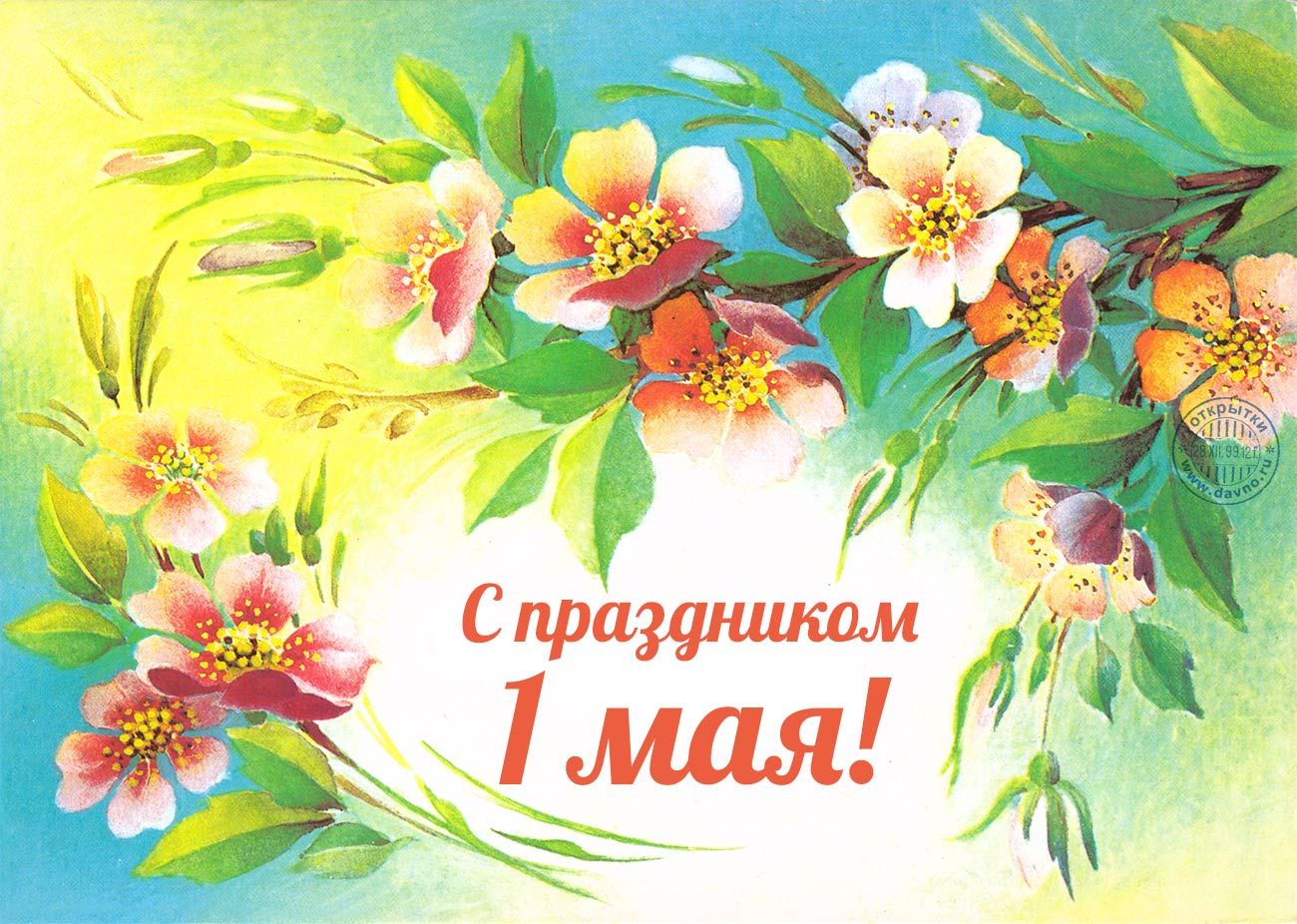 тематические открытки с праздниками и выходными приеме витафона намного